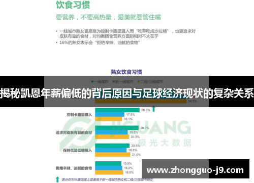 揭秘凯恩年薪偏低的背后原因与足球经济现状的复杂关系