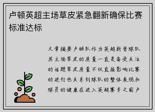 卢顿英超主场草皮紧急翻新确保比赛标准达标 卢顿英超主场草皮紧急翻新确保比赛标准达标